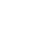 wevis logo